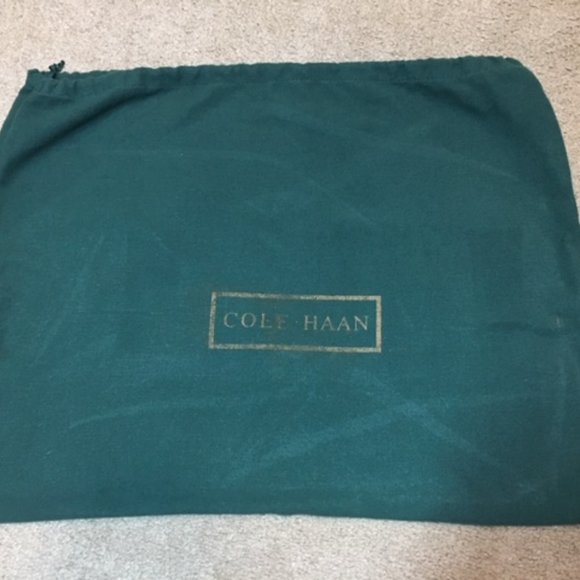 Cole Haan Green Drawstring Dust Cover Bag - Picture 1 of 6